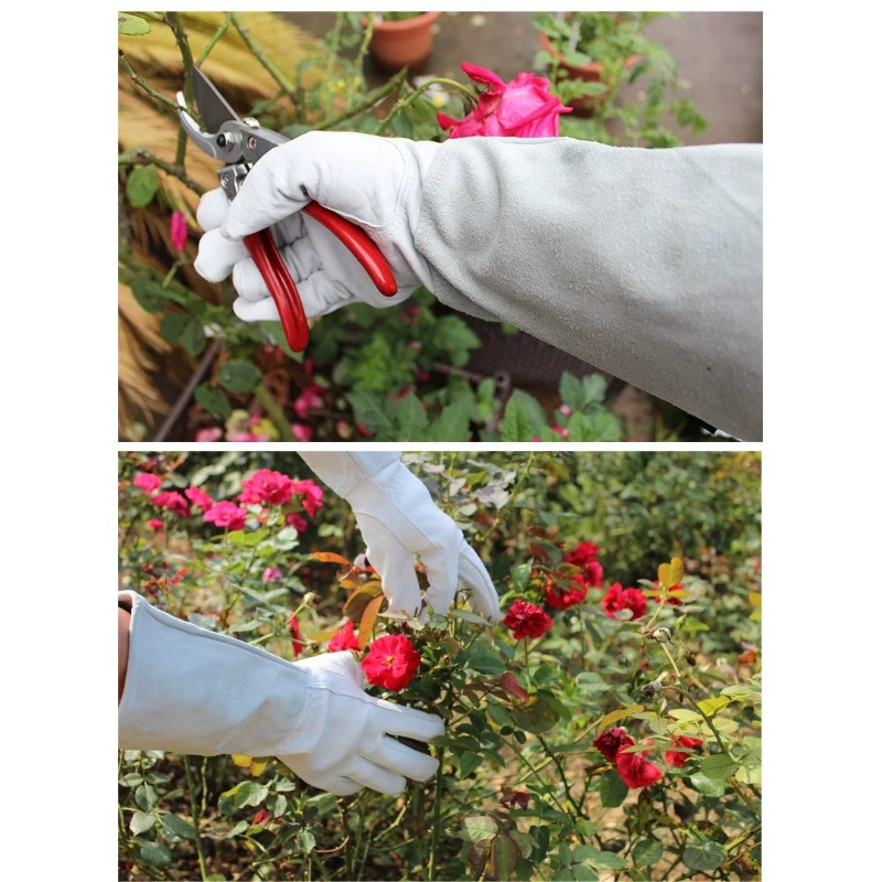 A Pair of Garden Gloves Thorn  - Gardening Glove Waterproof ulasan dan harga